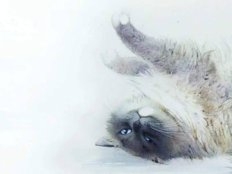 кот, арт, акварель, кошка, потягивается, картина, лежит