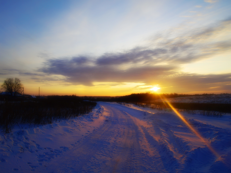 поле, лес, солнце, деревня, дорога, снег, field, forest, sun, village road, snow