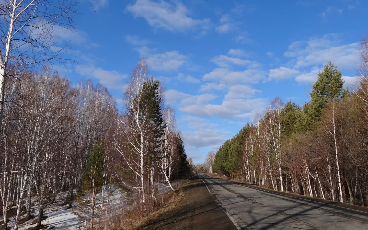 весна, дорога, сибирь, деревья, березы