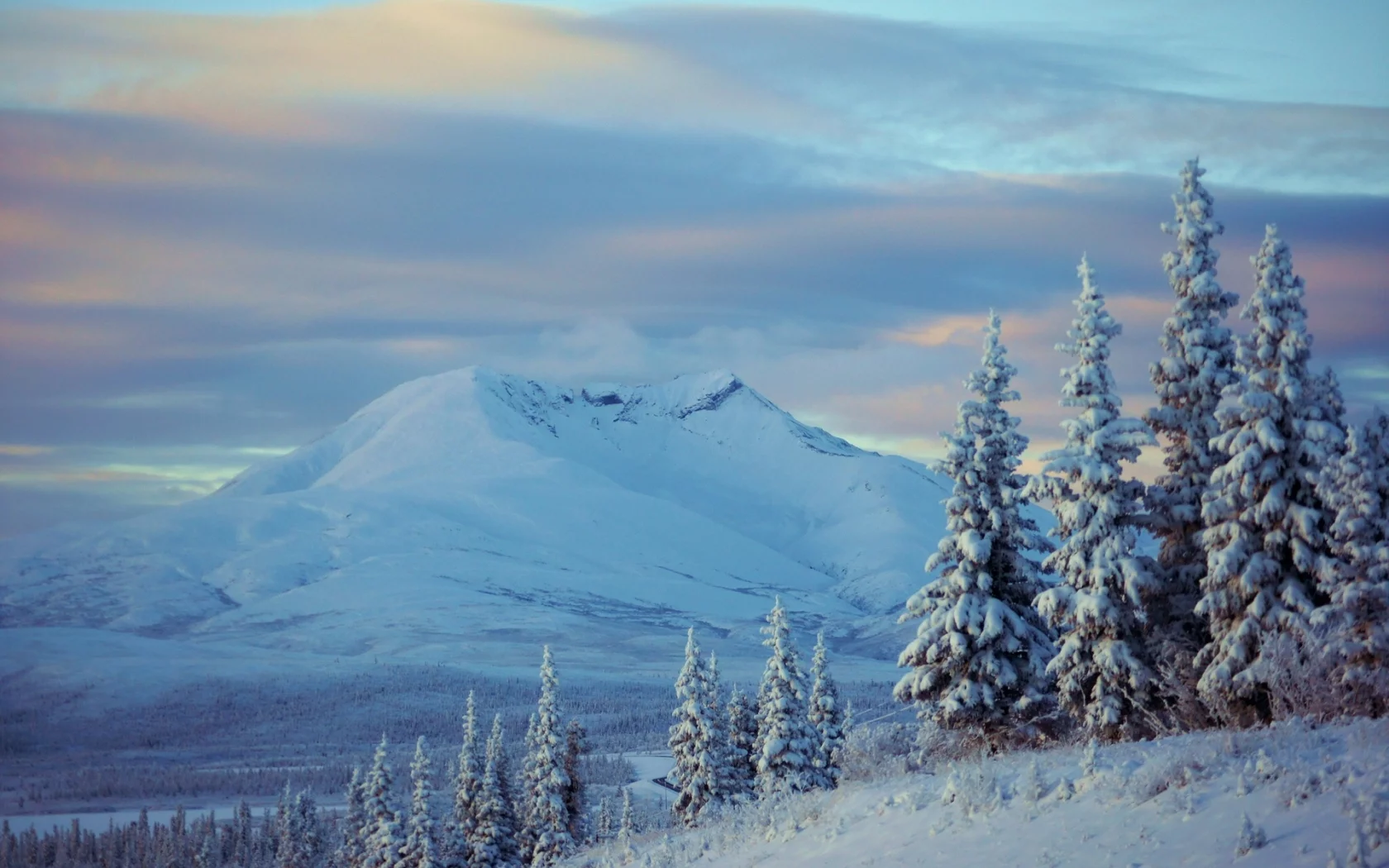 зима, снег, alaska, деревья, ели, аляска, горы