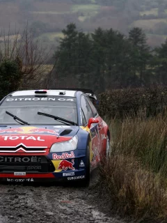 грязь, передок, rally, поворот, пасмурно, red bull, ds3, wrc, citroen