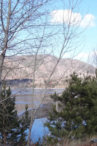 весна, енисей, дерревья, вода