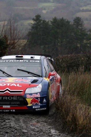 грязь, передок, rally, поворот, пасмурно, red bull, ds3, wrc, citroen