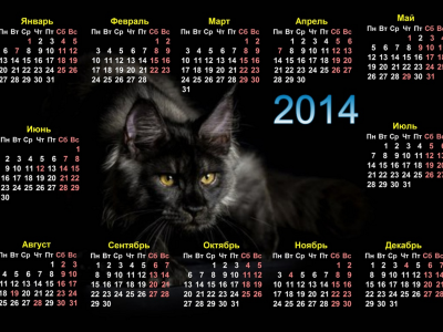 календарь, кот