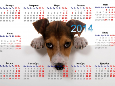 календарь, собака