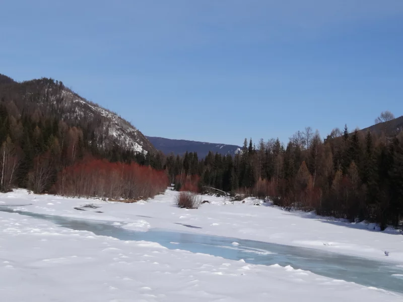 сибирь, начало весны, тепло, тает