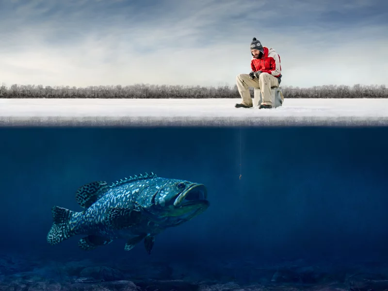 big fish, ice, hooks, humor, лед, забавный парень, funny guy, fisherman