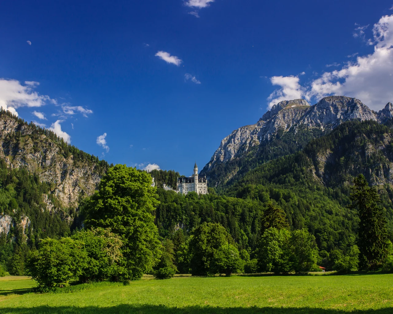 neuschwanstein castle, замок нойшванштайн, bavaria, germany, бавария