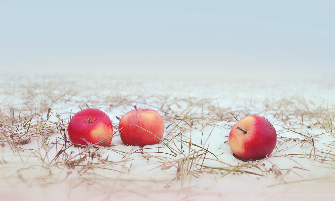 яблоки, снег, трава, apple, snow, grass