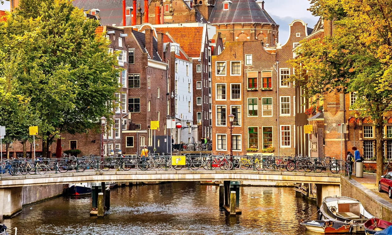 нидерланды, деревья, nederland, амстердам, осень, amsterdam