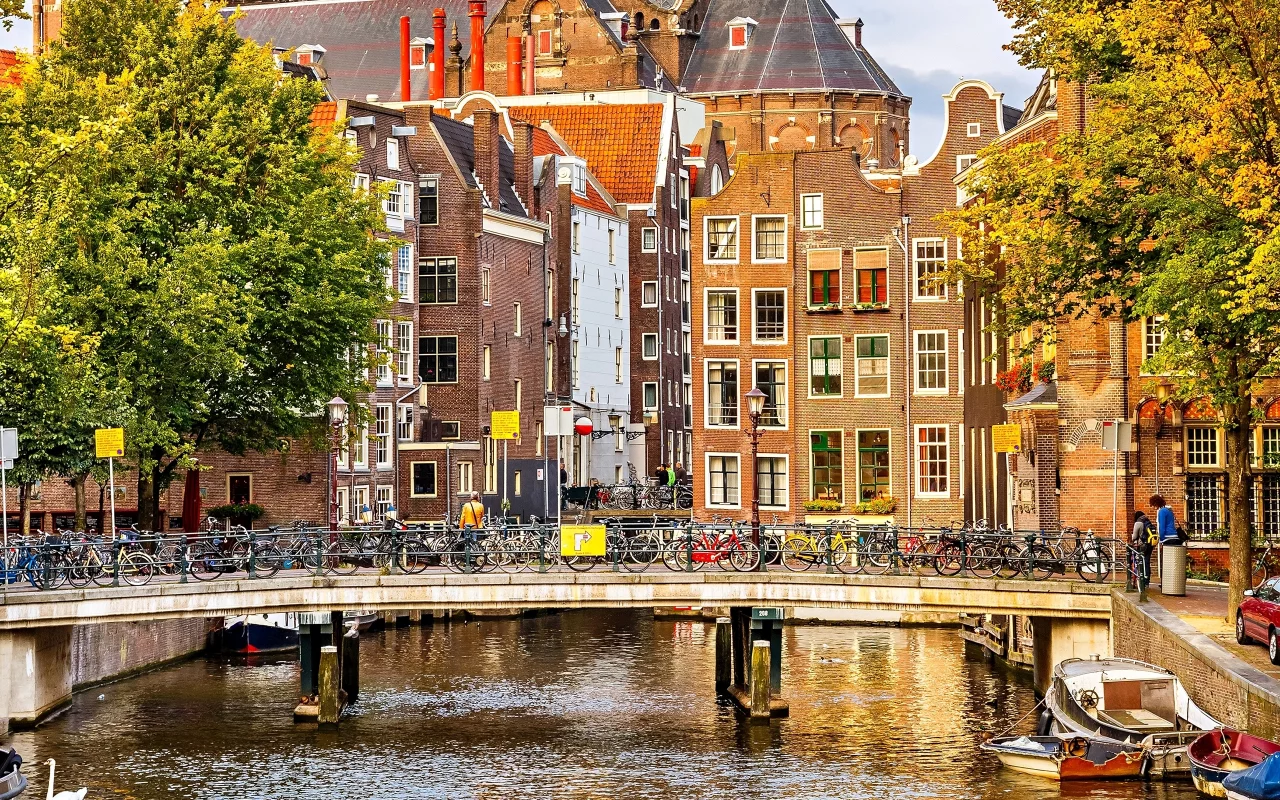 нидерланды, деревья, nederland, амстердам, осень, amsterdam