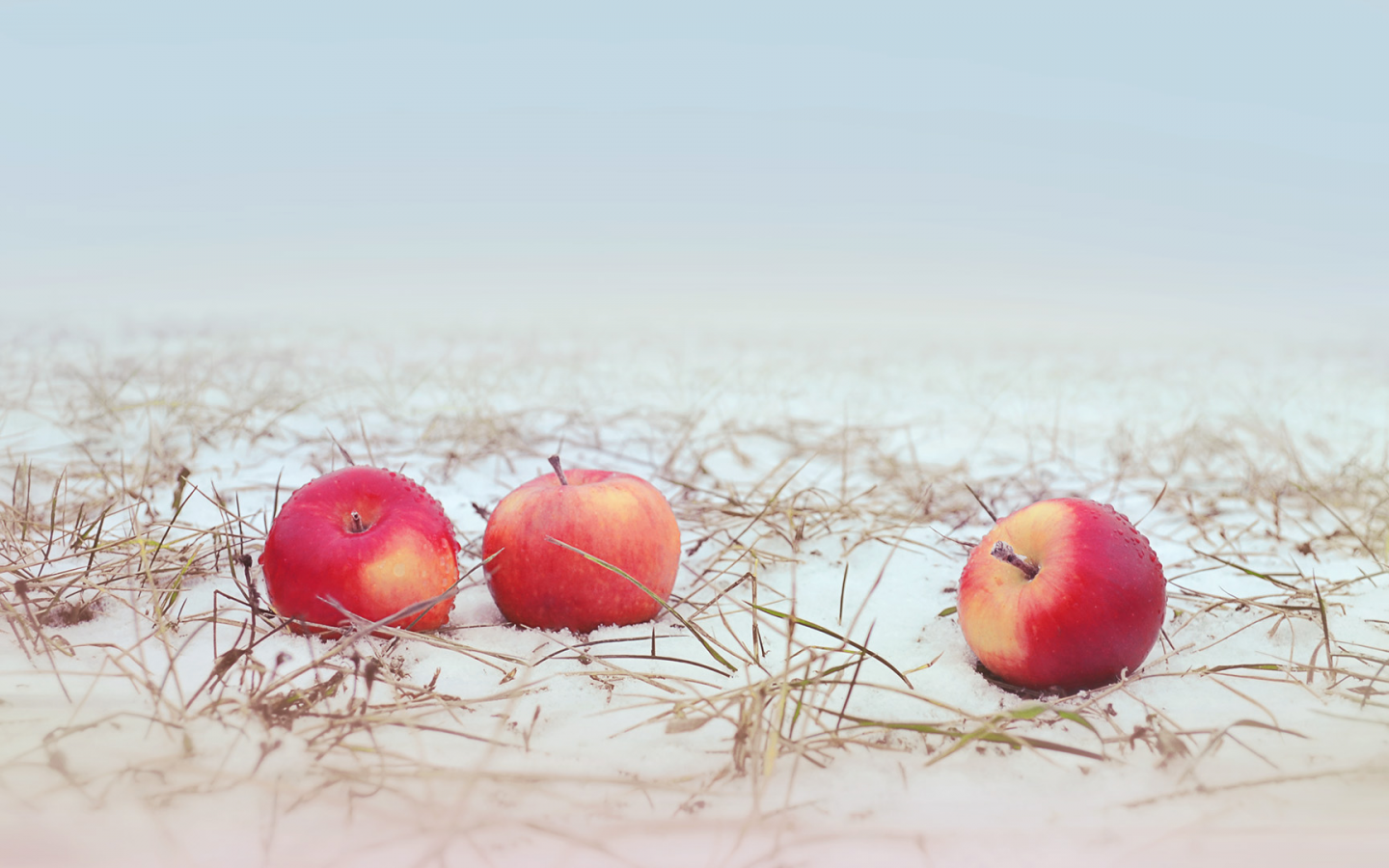 яблоки, снег, трава, apple, snow, grass