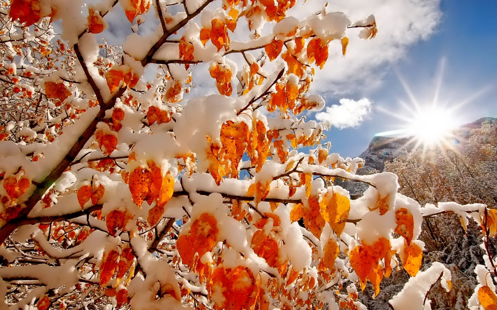branches, clouds, colors, snow, nature, sky, природа, trees, light, mountains, winter, sun
