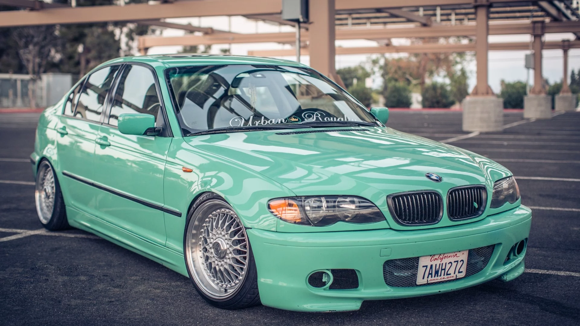 BMW, салатовый, вид