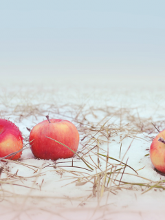 яблоки, снег, трава, apple, snow, grass