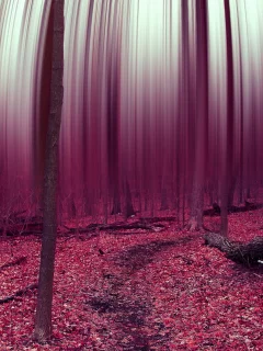 leaves, abstract, forest, trees