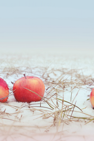 яблоки, снег, трава, apple, snow, grass