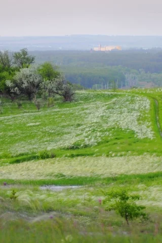 природа, за городом