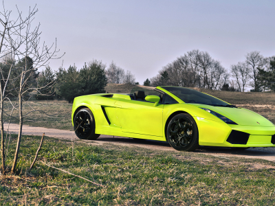 ламборгини, lamborghini gallado spyder, салатовый, природа