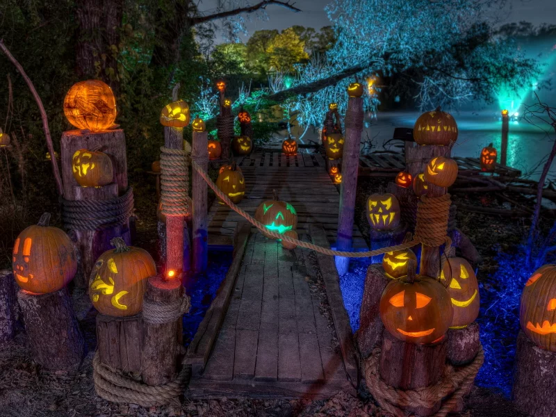 pumpkin, halloween, art