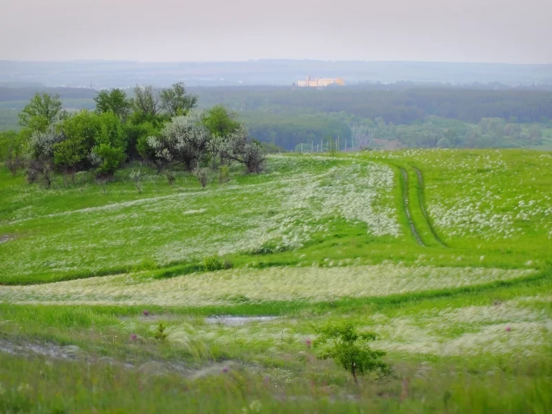 природа, за городом
