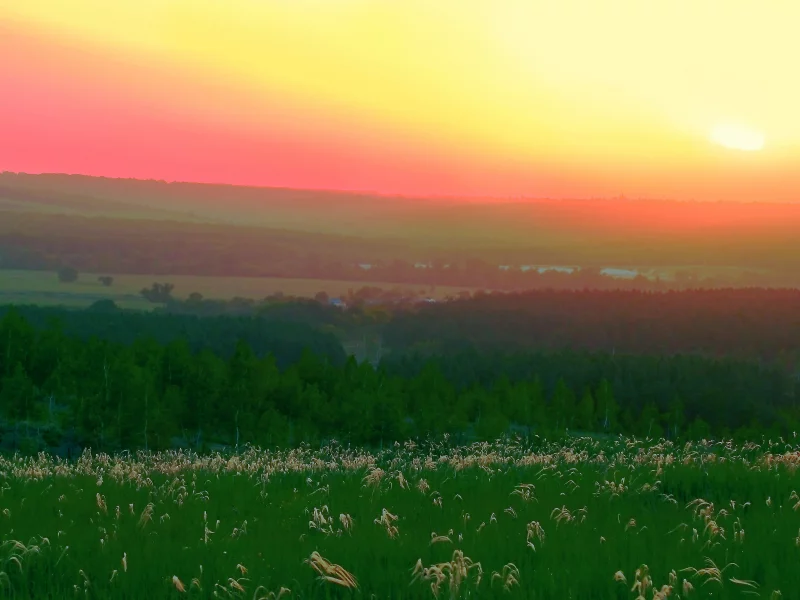 природа, закат, ковыль