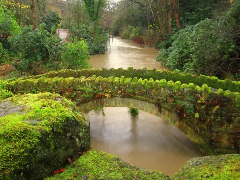 jesmond dene, ньюкасл, newcastle, мост, джесмонд дене, england, англия