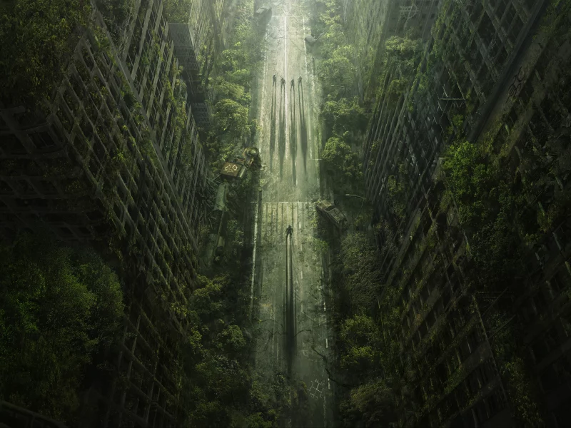 апокалипсис, wasteland 2, деревья, пустошь, дорога, город
