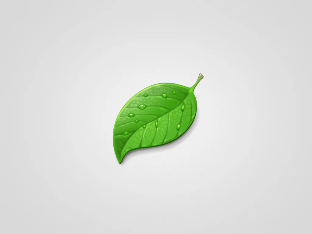 минимализм, green, капли, светлый фон, лист, leaf, зеленый