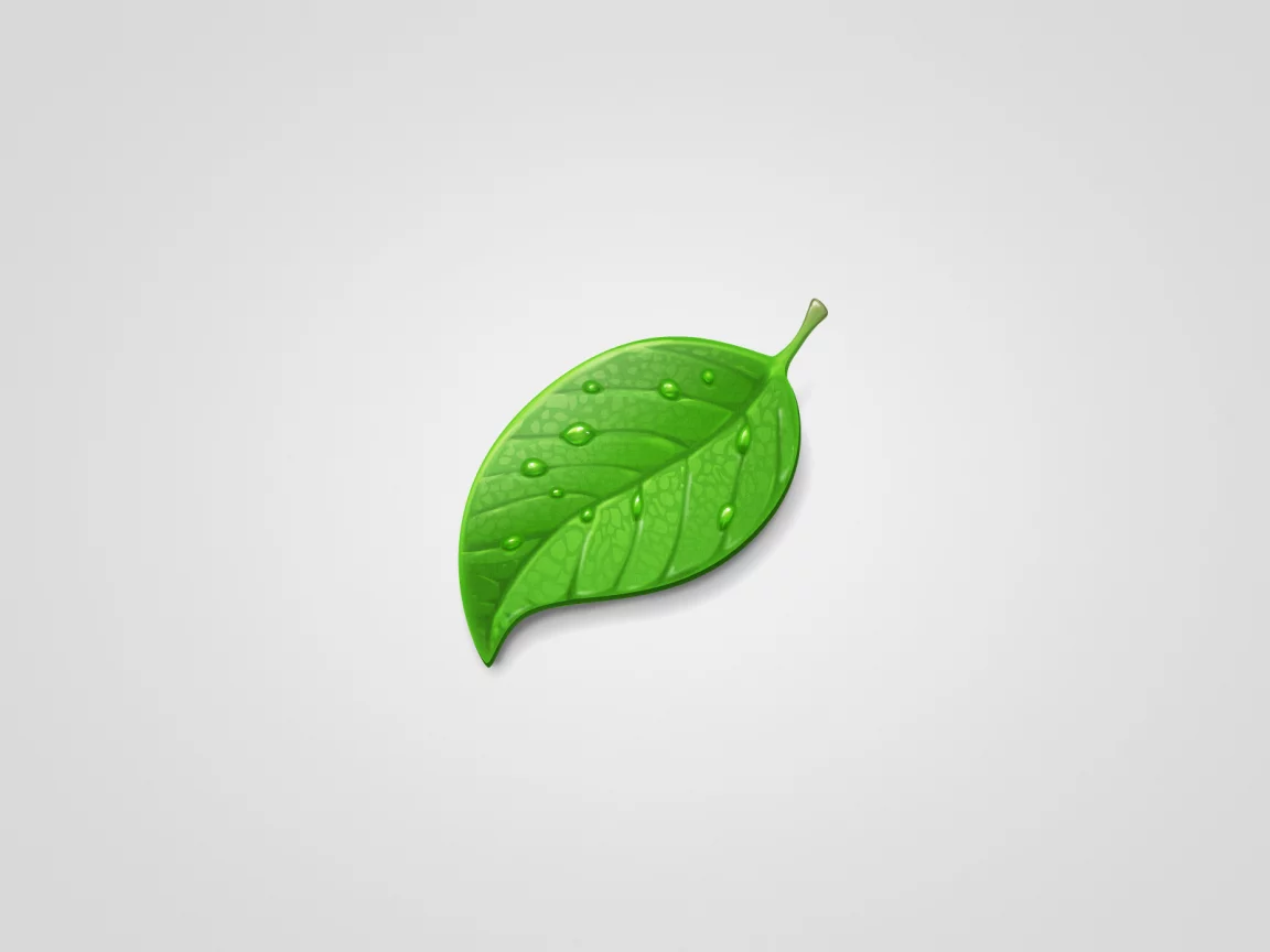 минимализм, green, капли, светлый фон, лист, leaf, зеленый
