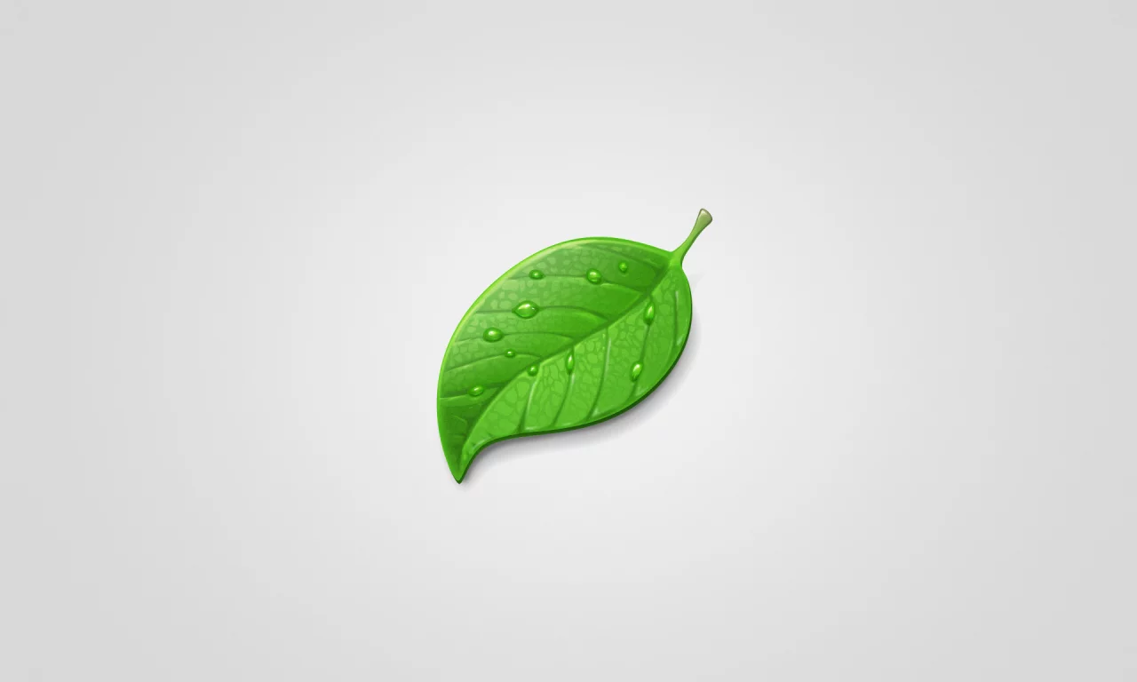 минимализм, green, капли, светлый фон, лист, leaf, зеленый