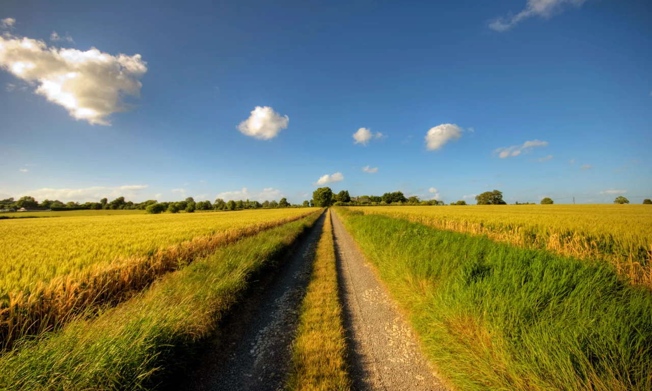 небо, дорога, даль, солнечный день, путь, облака, road