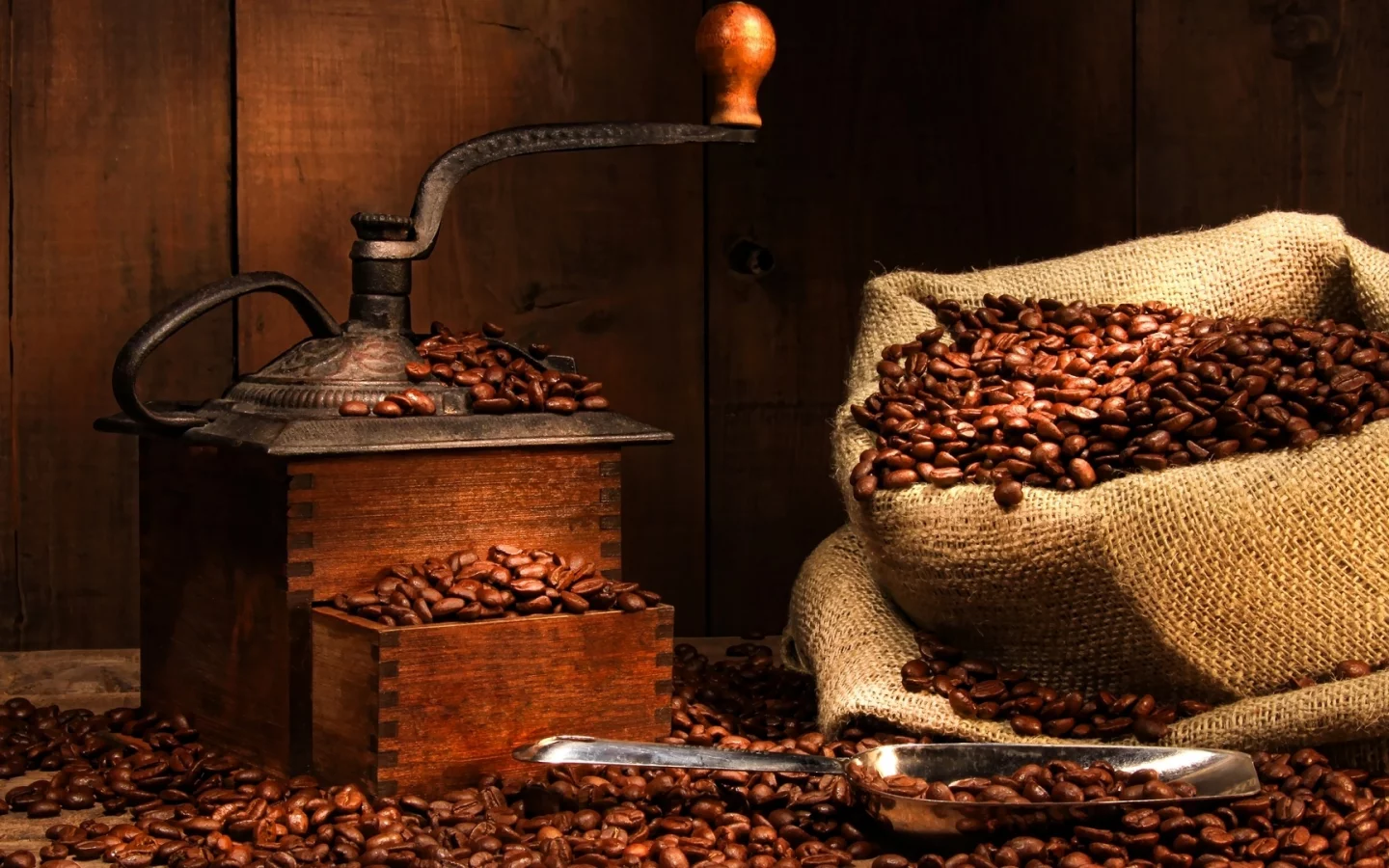 coffee beans, coffee, bag, grinder