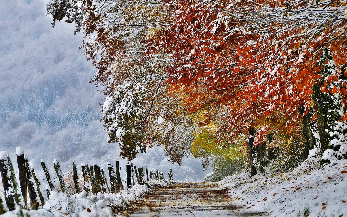 франция, снег, ноябрь, осень, природа