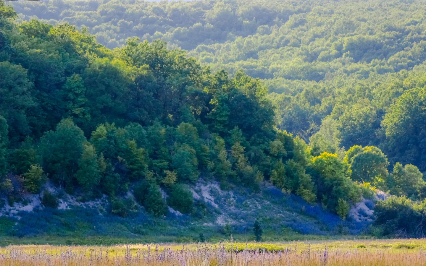 горы, лес, солнце