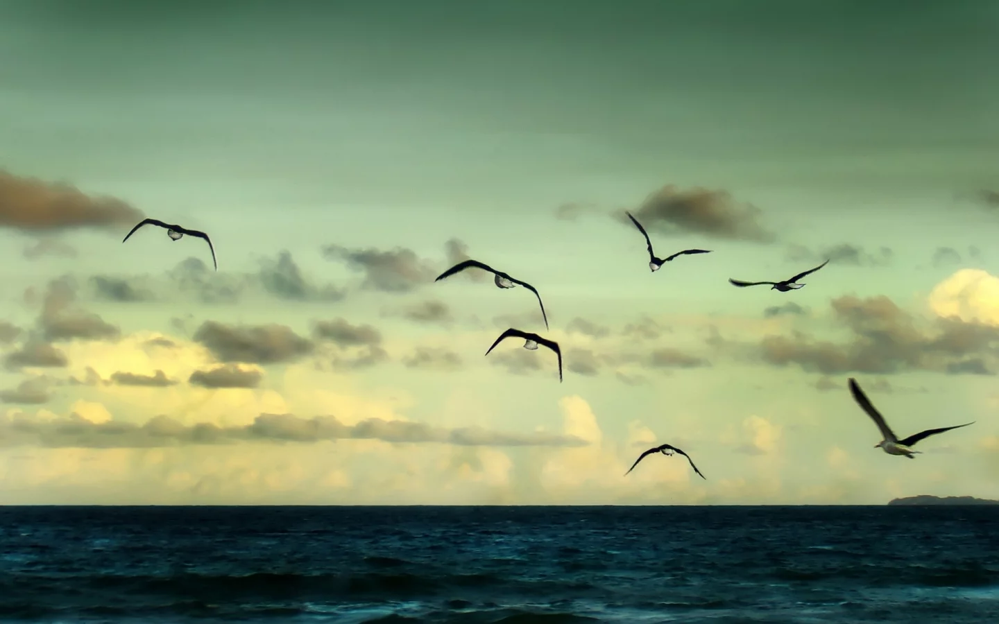 чайки, река, пейзаж, вода, море, sea, природа, ocean, океан