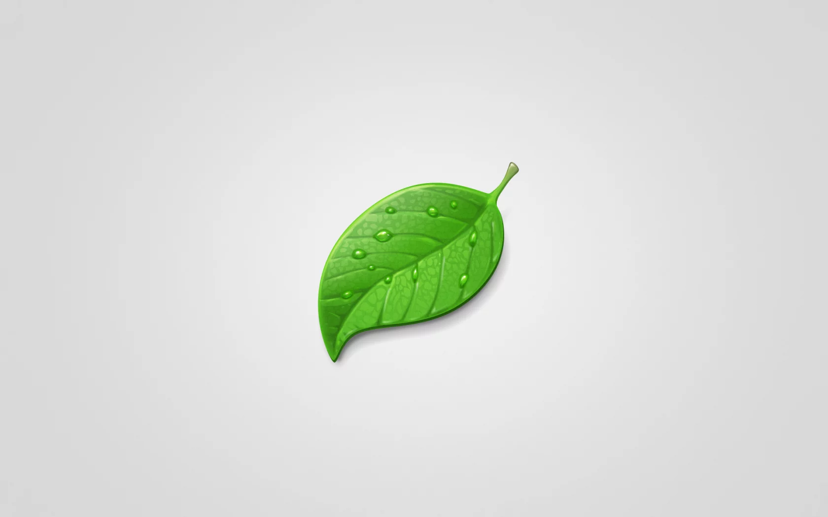 минимализм, green, капли, светлый фон, лист, leaf, зеленый