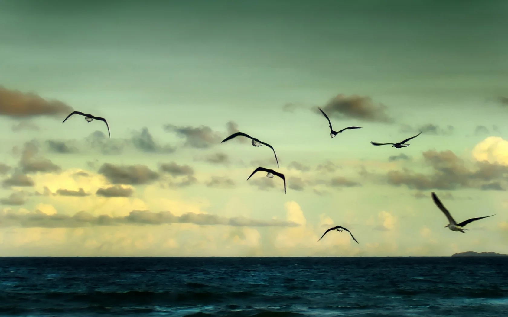 чайки, река, пейзаж, вода, море, sea, природа, ocean, океан