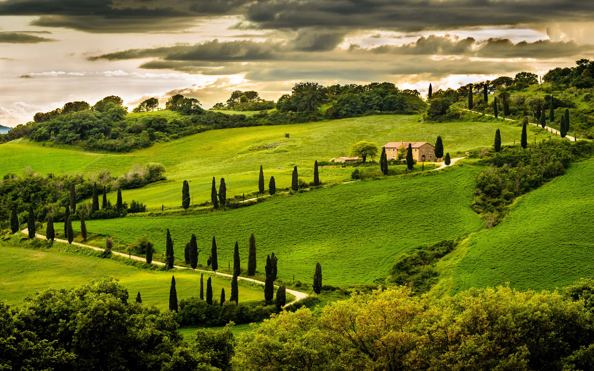 italy, зелень, холм, италия, umbria, умбрия, деревья, italia, дом