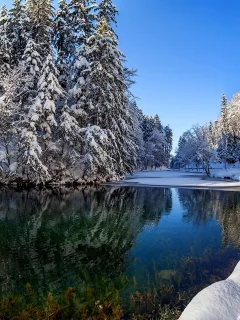 река, дом, отражение, небо, зима, природа, снег, белые