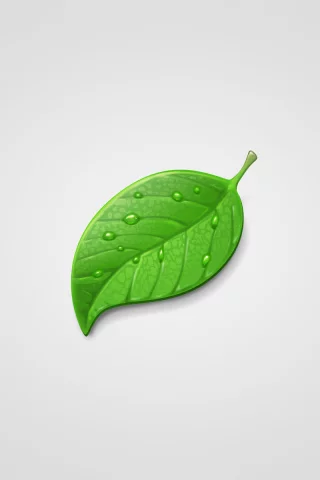 минимализм, green, капли, светлый фон, лист, leaf, зеленый