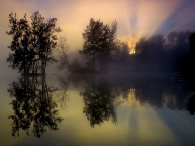 восход, деревья, озеро, отражение, утро, туман
