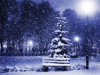 town, snow, trees, new year, winter, nature, christmas tree, magic christmas night, merry christmas