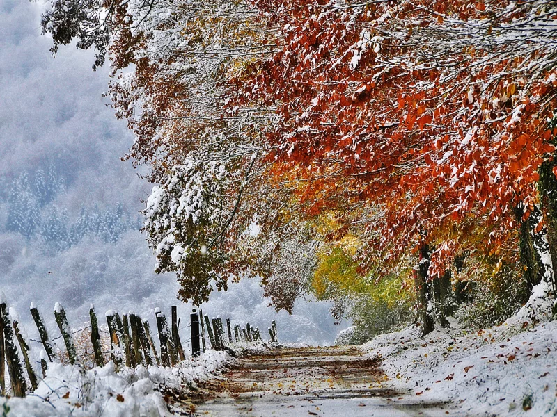 франция, снег, ноябрь, осень, природа
