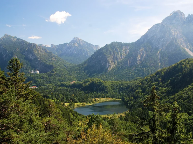 germany, alps, neuschwanstein, bavaria, бавария, лес, горы, германия