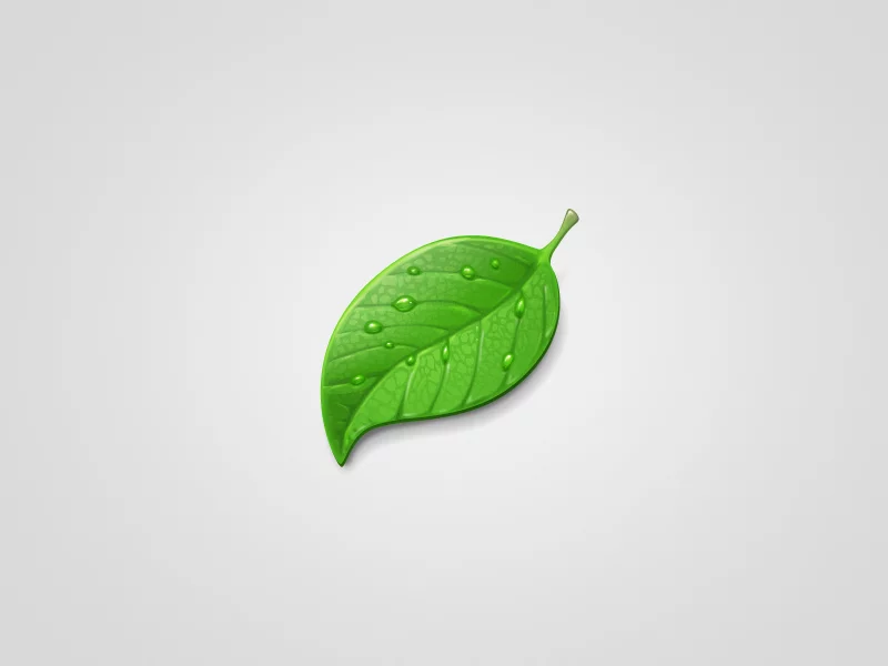 минимализм, green, капли, светлый фон, лист, leaf, зеленый