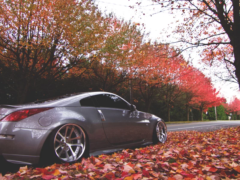 350z, улица, осень, nissan, ниссан