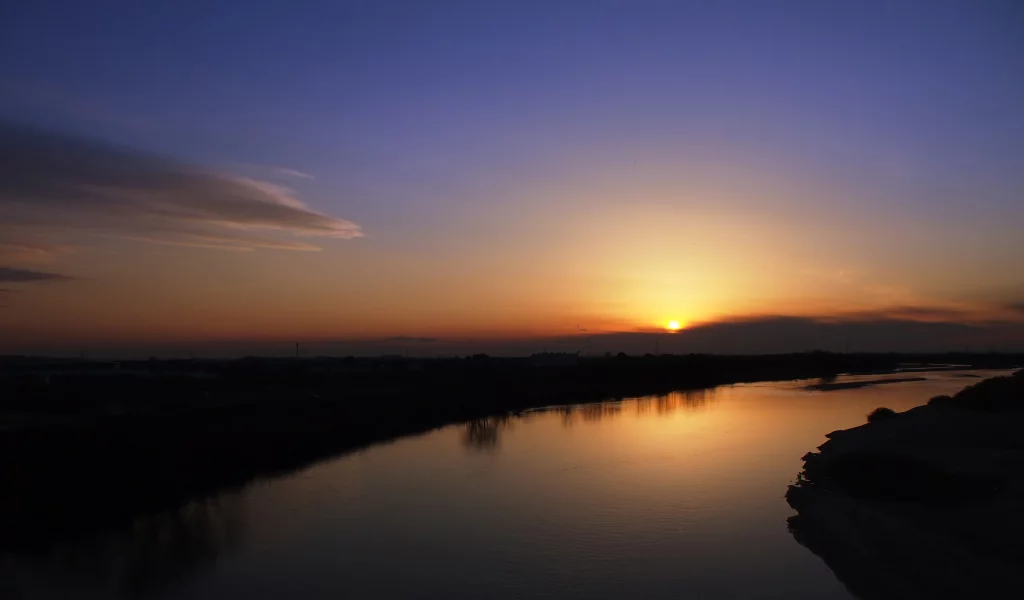 река, деревья, вода, волна, море, пейзаж, природа