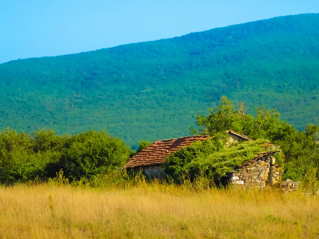 дом, лес, природа, Крым