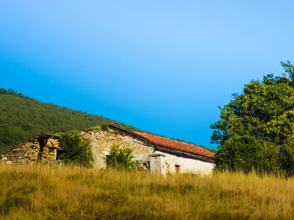 дом, лес, природа, Крым